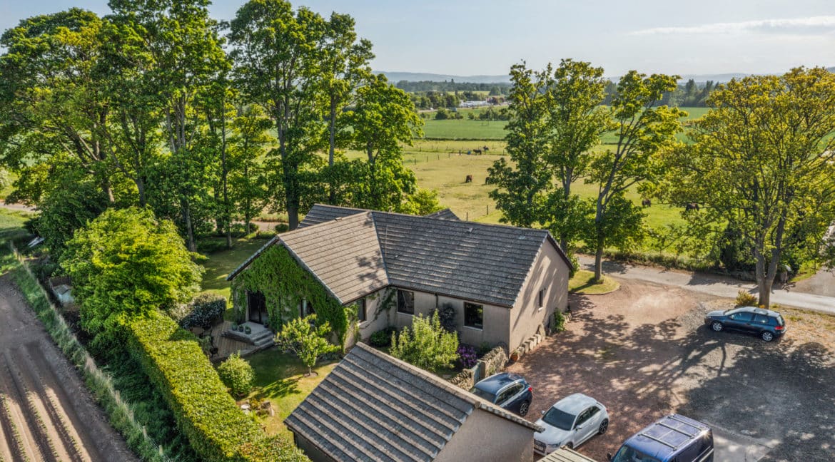 DJI_0128